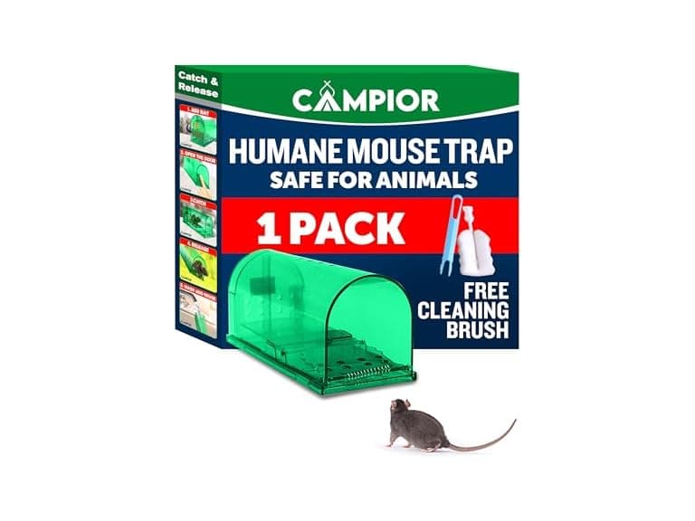 Campior Humane Mouse Trap for House - Image 1
