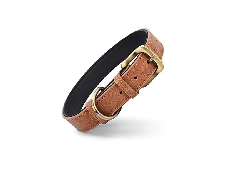 Classic Brown Leather Dog Collar for Small Me - Image 1