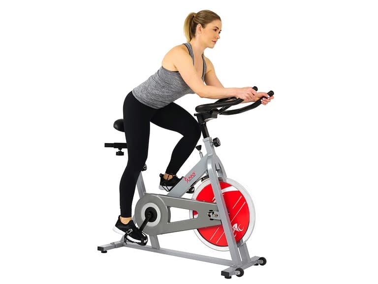 Sunny Health & Fitness SF-B1001/S Bike - Image 1
