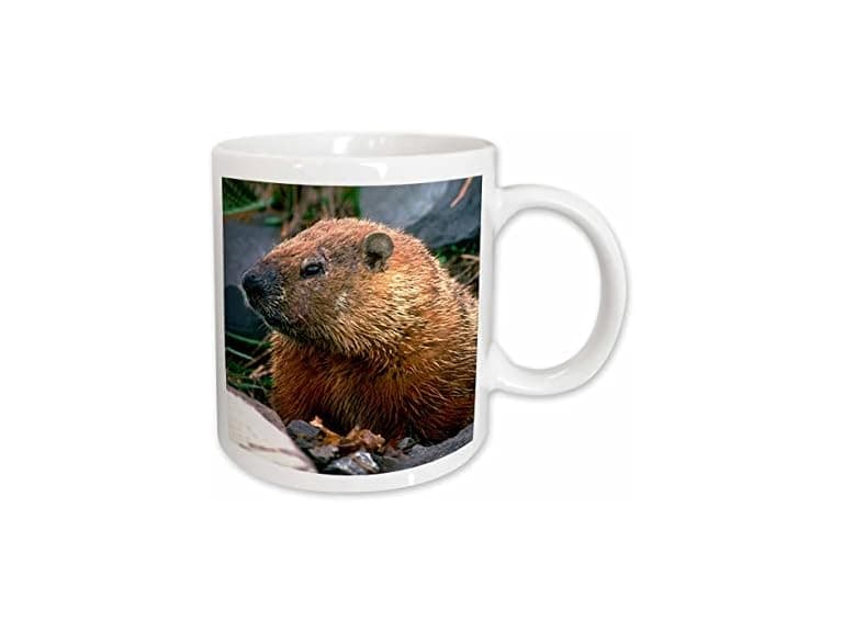 3dRose Groundhog 15oz Mug - Image 1