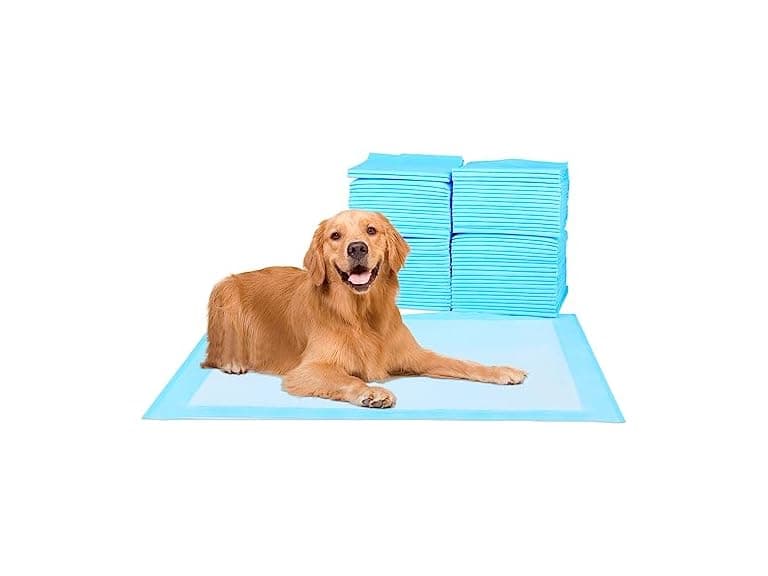Super Absorbent Waterproof Dog and Puppy Pet 50-Count - Image 1