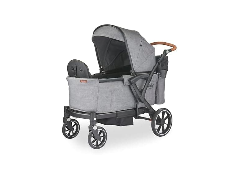 Larktale Adjustable Stroller, 2 Seater - Image 1