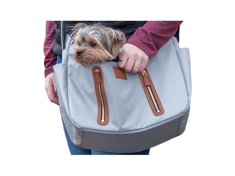 Pet Gear Carrier and Car Seat, Sea Salt - Image 1