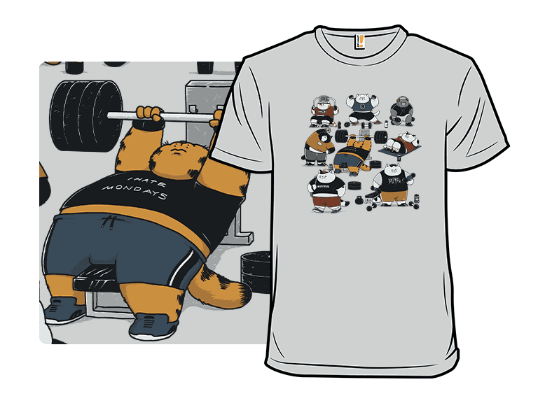 Cat Gym - Image 1