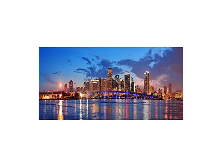 DORCEV 20x10ft Miami Florida City Night - Image 1