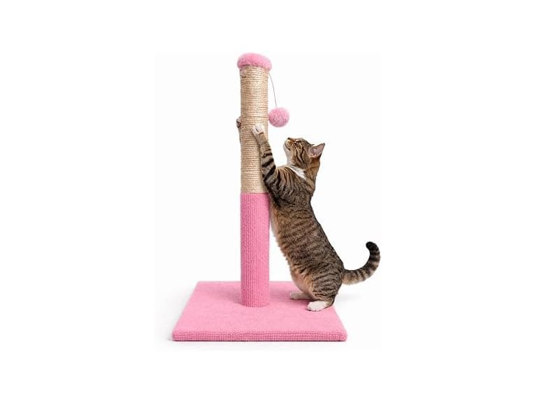 ASPCA Cat Scratching Post for Indoor Cats- Pink - Image 1
