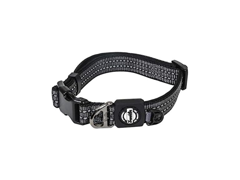 Franklin Pet Supply Co. - Nylon Dog Collar - Image 1