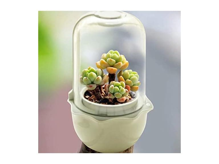CheerGrow CheerGrow Succulent Pot with Grow Ligh - Image 1