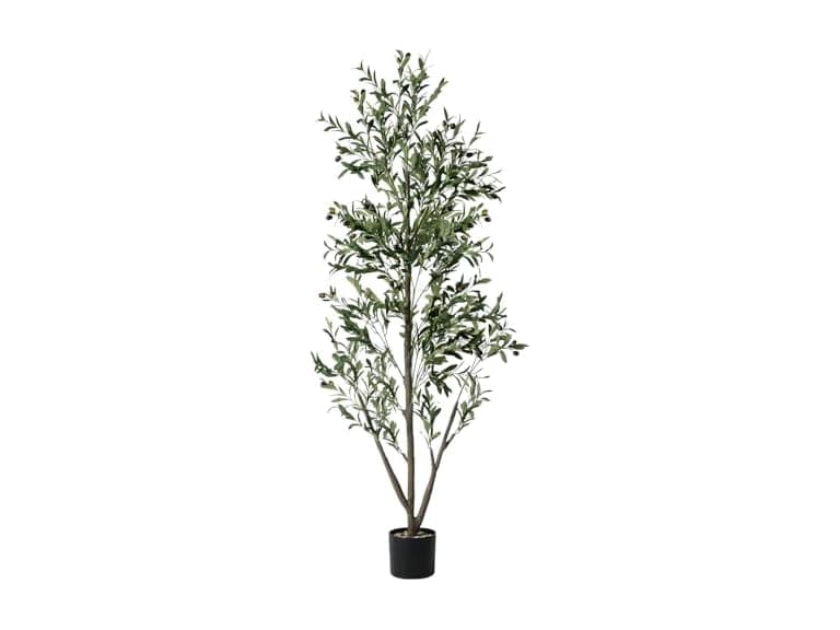NOVAROOT Artificial Indoor Olive Tree (Open Box) - Image 1