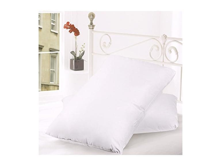 2pk Down & Feather Cover Pillows - Image 1