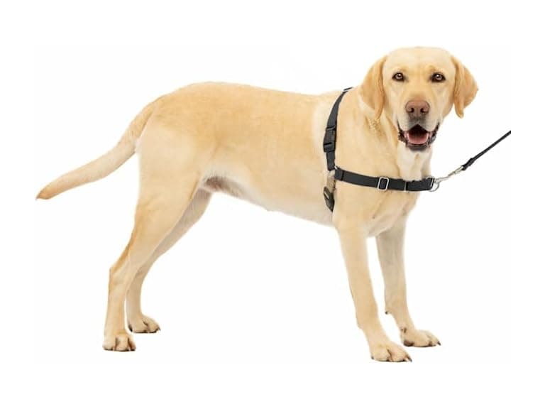 Petsafe Easy Walk No Pull Harness Black Large - Image 1