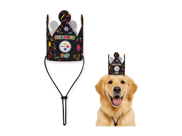 NFL Pittsburgh Steelers Pet Birthday Crown - Image 1