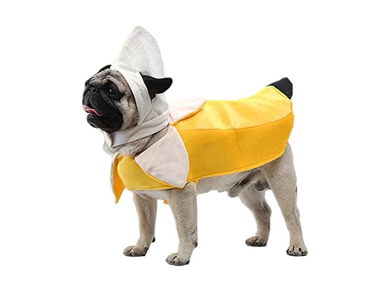Kodervo Banana Dog Costume - Funny Halloween - Image 1