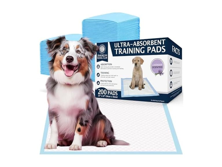 AKC Scented Puppy Training Pads- Lavender - Image 1