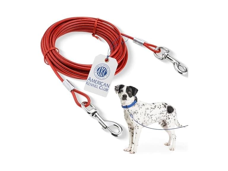 American Kennel Club Dog Tie Out Cable 20 Feet - Image 1