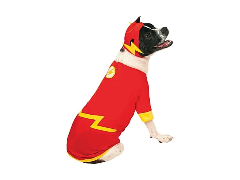 DC Comics Superheroes: The Flash Pet Costume, Medium - Image 1