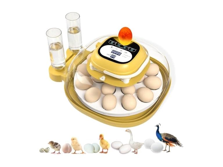 Egg Incubators For Hatching Eggs - Image 1