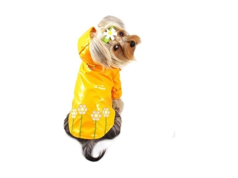KLIPPO Dog/Puppy Daisy Waterproof Jacket XS - Image 1