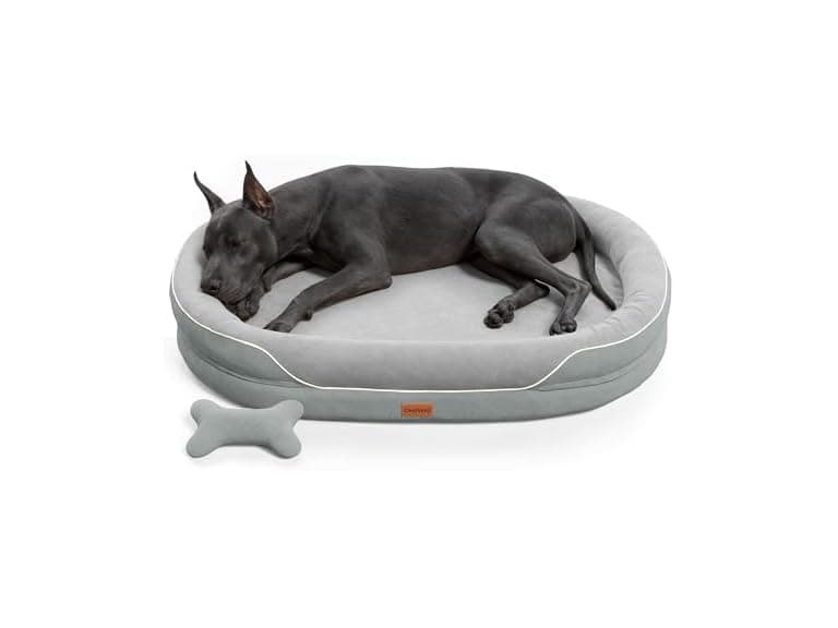 CWAWZ Light Grey XXL Orthopedic Dog Bed 53" - Image 1