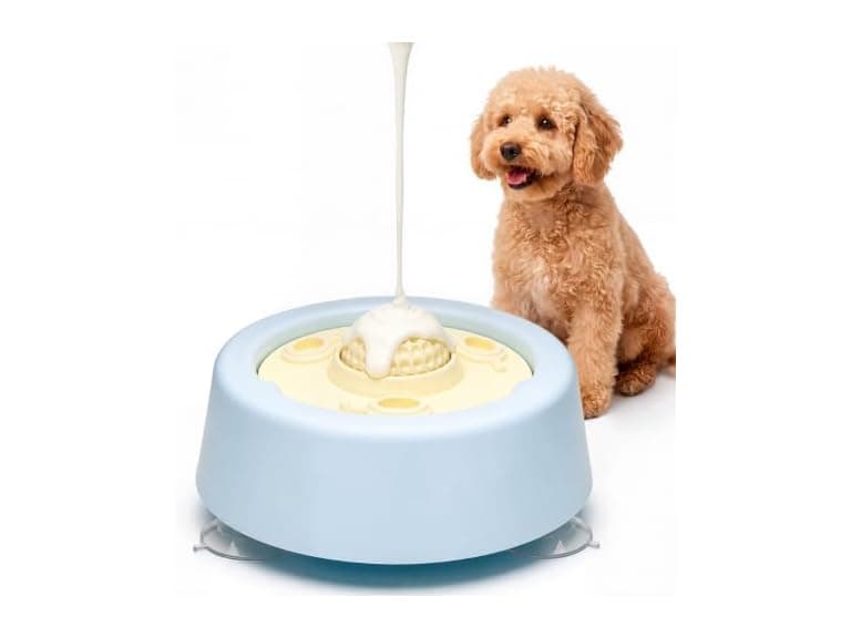 PetZest Slow Feeder Dog Bowl - Image 1