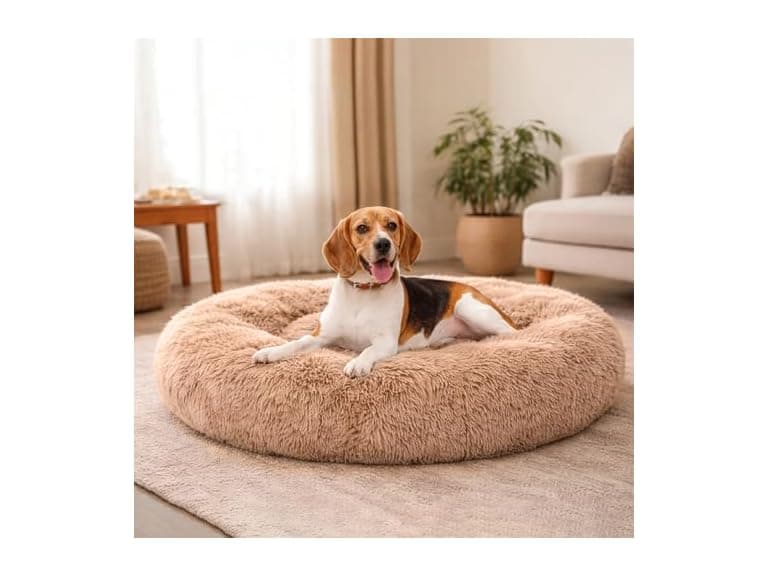 Dog & Cat Bed for Indoor Cats Calming Donut Bed - Image 1
