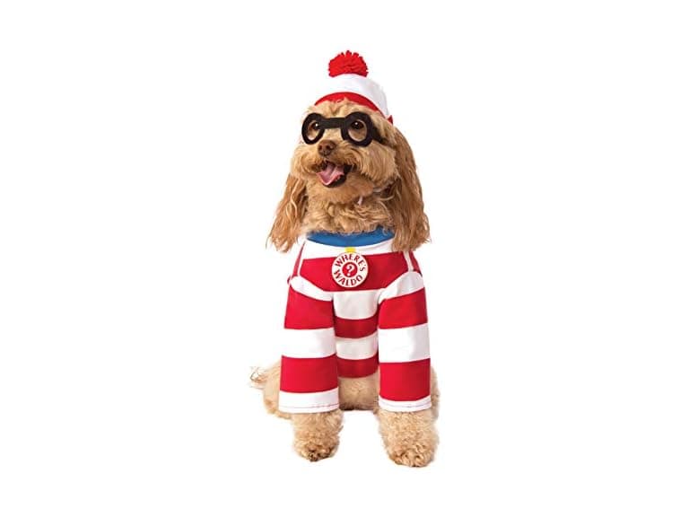 Where's Waldo: Waldo Pet Costume for For Dogs - Image 1