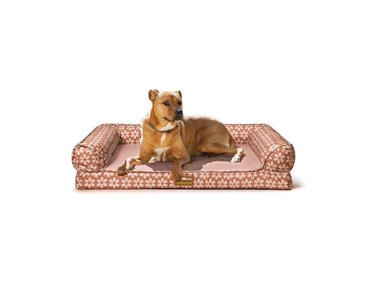 ClevaHome Comfort Orthopedic Dog Bed for Large Dogs - Image 1