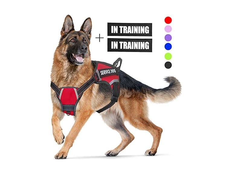 LMOBXEVL Service Dog Harness,No-Pull Dog Harn - Image 1