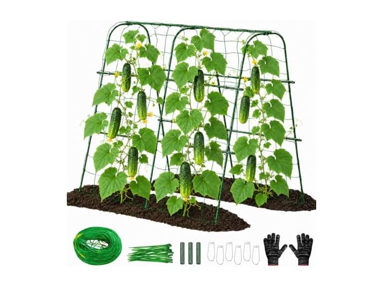 FOLLOOK Cucumber Trellis - Image 1