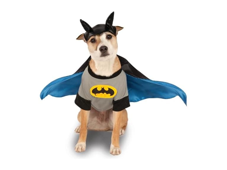 DC Comics Superheroes: Batman Pet Costume - Image 1