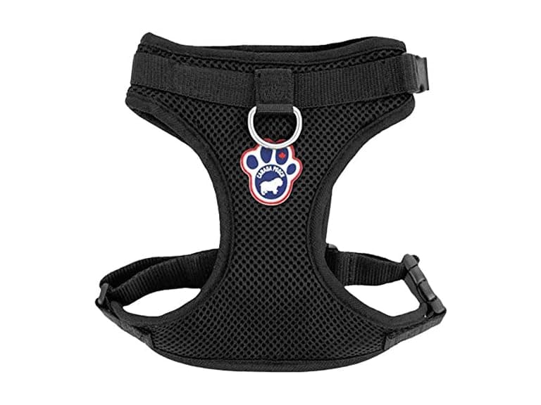 Canada Pooch Everything Dog Harness Black Mesh Medium - Image 1