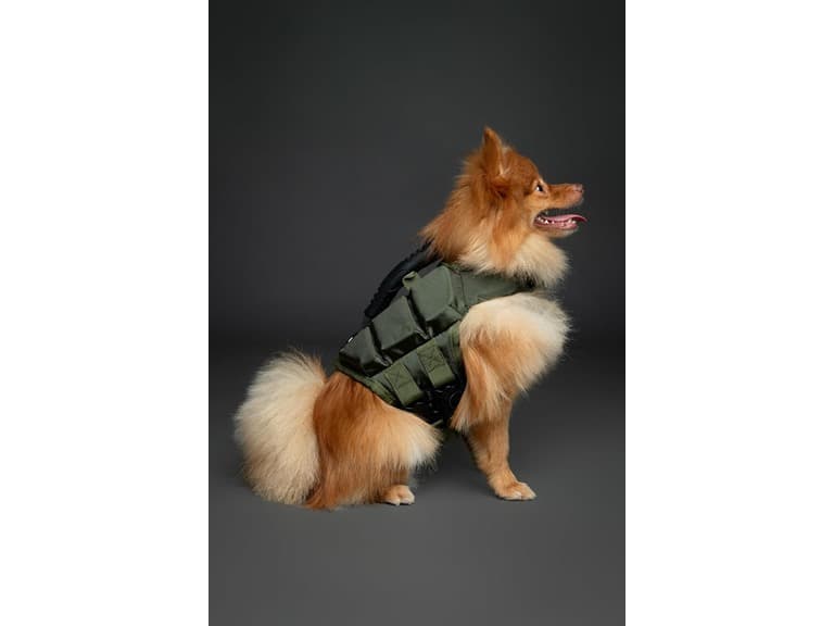 NOAH & PAW Dog Life Jacket- Medium - Image 1