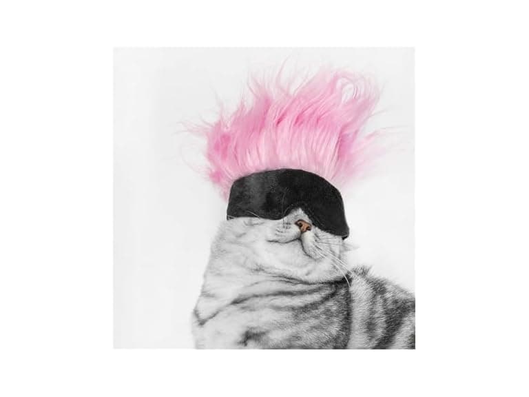 WALDOR Pet Wig Hat - Image 1