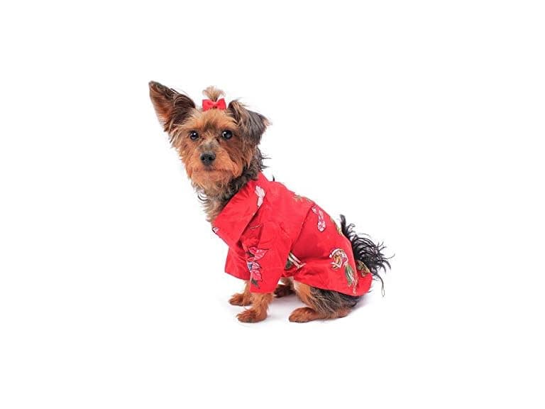 Hawaiian Matching Pattern Dog Aloha Shirt in - Image 1