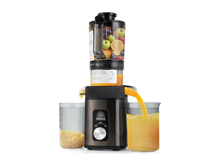 FAB&DELUXE Cold Press Juicer 34oz - Image 1