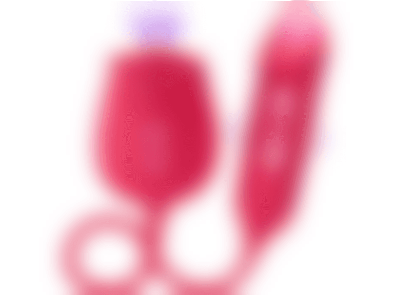 2-in-1 Rose Vibrator - Image 1