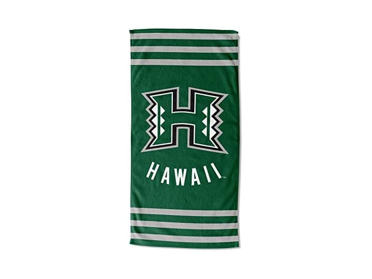 The Northwest Company Stripes Beach Towel - Image 1