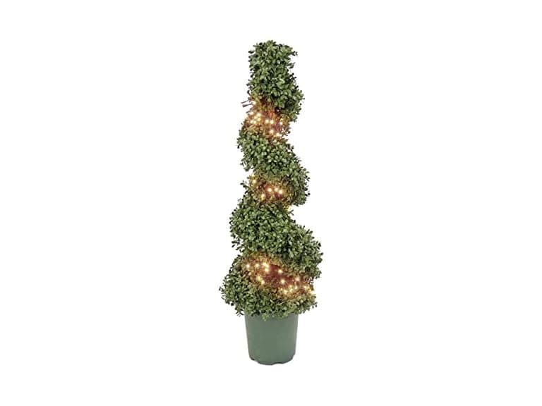 National Tree Company 44" Prelit Artificial Boxwood Spiral Tree - Image 1