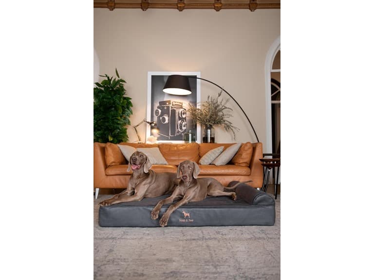 NOAH & PAW Orthopedic Dog Beds- XXLarge - Image 1