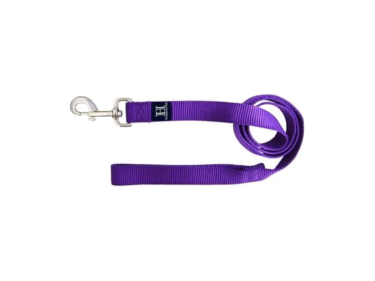 Hamilton Single Thick Deluxe Nylon Dog Leash w Swivel Snap - Image 1