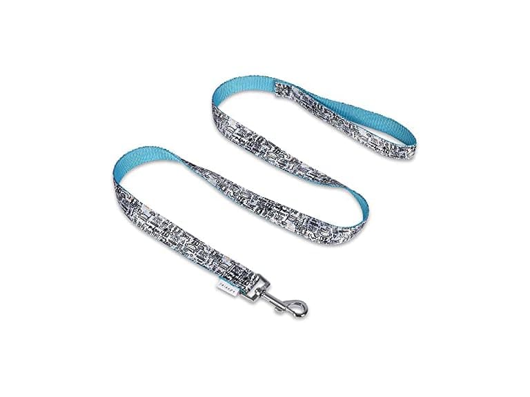 Friends TV Show City Doodle Dog Leash, 4 Ft - Image 1