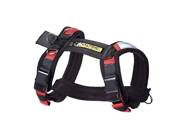 Alpine Outfitters Adjustable Dog Harness, No-Pull D-Ring Red - Image 1