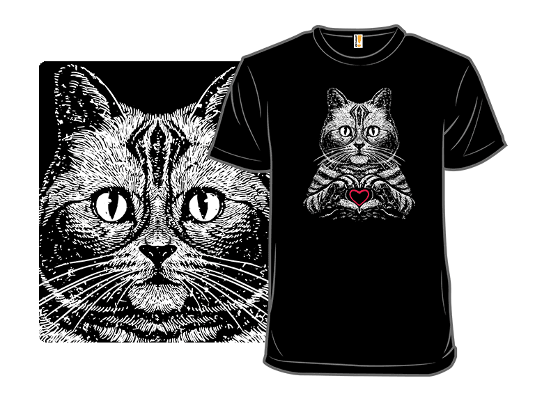 American Shorthair True Affection - Image 1