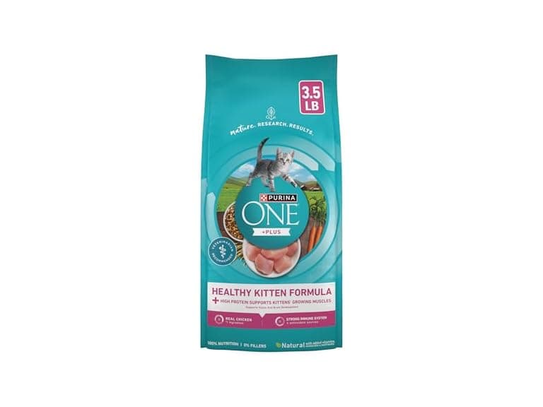 Purina ONE High Protein, Natural Dry Kitten Food - Image 1