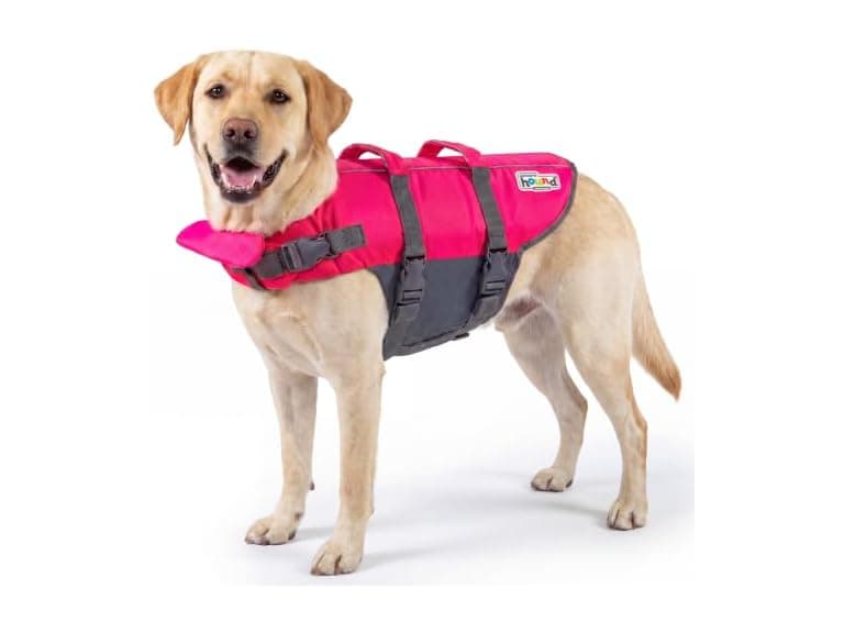 Outward Hound Granby Splash Pink Dog Life Jacket - Image 1