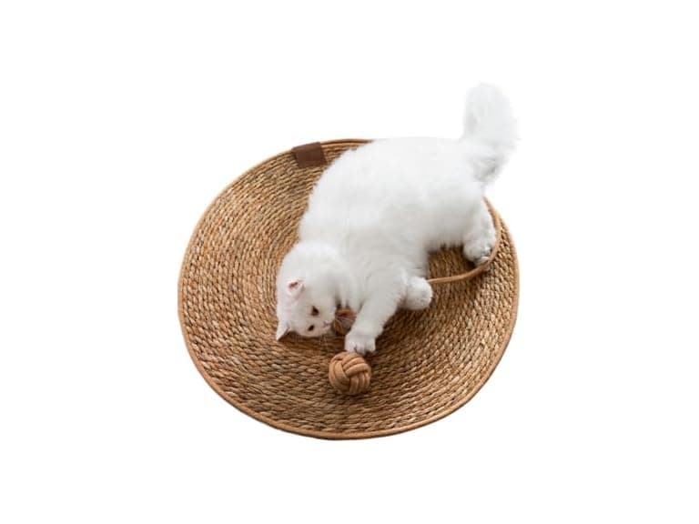 SSDHUA Round Cat Scratching Board Bed - Image 1