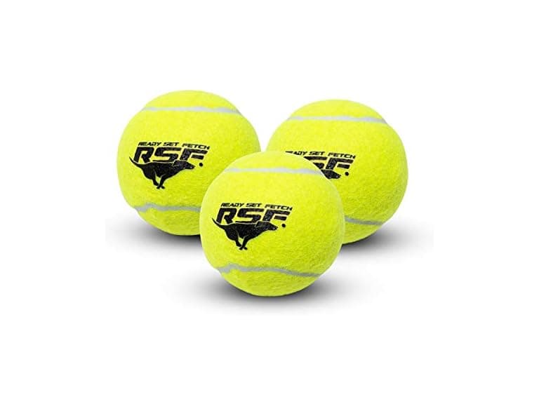 Franklin Sports Ready Set Fetch Squeaker Tennis Ball - Image 1