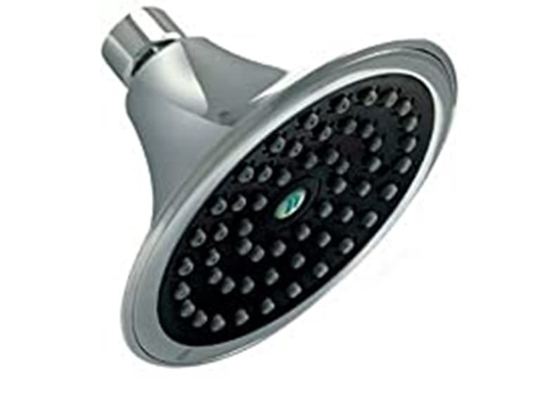 Niagara Sava Spa Fixed-Mount Showerhead - Image 1