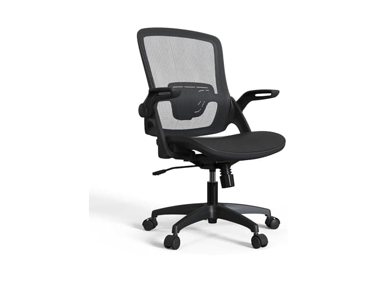 Sandure Mesh Office Chair Ergonomic - Image 1