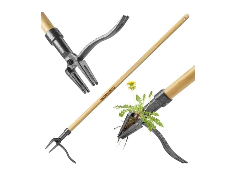 WORKPRO Weed Puller Tool Pick Color - Image 1